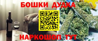 гашик Сосновый Бор