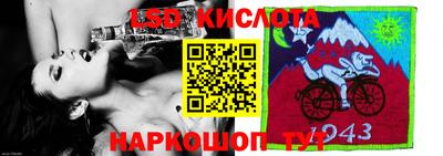 гашик Сосновый Бор