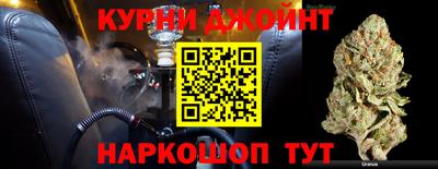 гашик Сосновый Бор