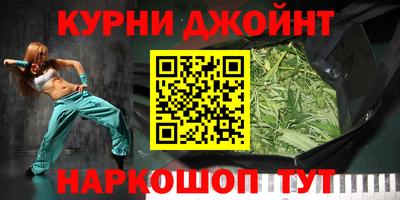 гашик Сосновый Бор