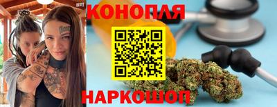 гашик Сосновый Бор