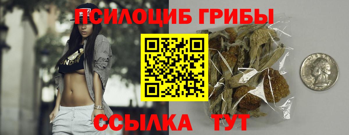 Псилоцибиновые грибы прущие грибы  Вход с VPN  Псилоцибиновые грибы прущие грибы  Богородицк 